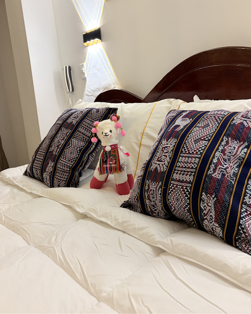 Habitacion Suite